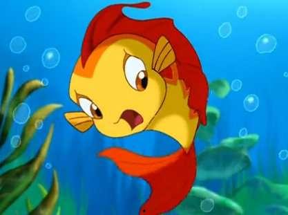 吃瓜娱乐小鲤鱼视频